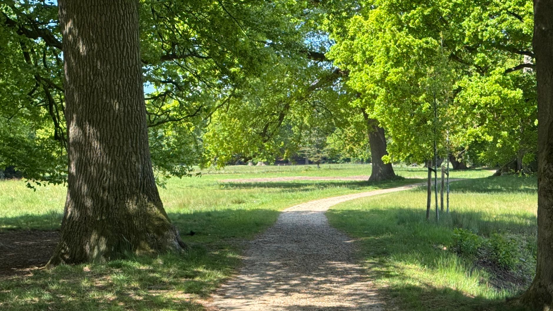 Lutte contre les nuisibles à Mérignac